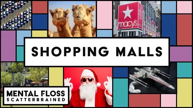 Video thumbnail for The Behind the Scenes Secrets of Shopping Malls - Mental Floss Scatterbrained | Mental Floss