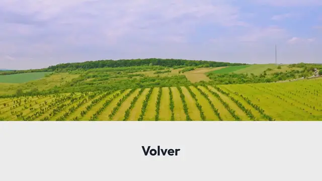 Video thumbnail for La cosecha española de fruta de hueso caerá este año cerca del 4%