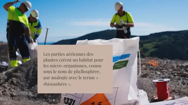 Video thumbnail for La phyllosphère, trop souvent oubliée