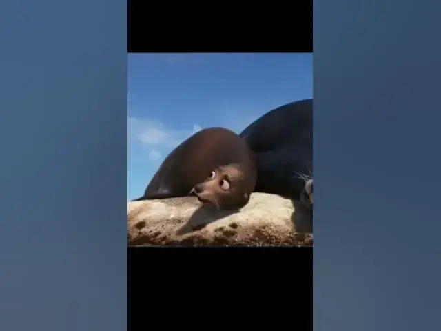 Video thumbnail for my bff @xMysticalTreesYTxWildcraft is in a Disney movie?!