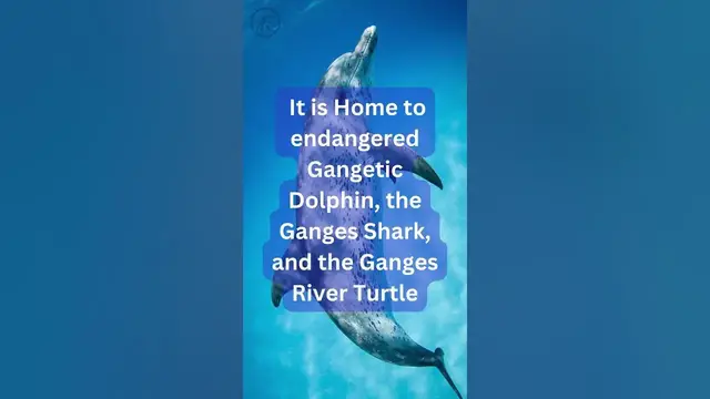 Video thumbnail for Interesting Facts About the Ganges River #facts#funfacts #gangesriver #river #youtubeshorts #viral