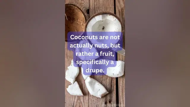 Video thumbnail for Fun Facts About Coconut You Didn’t Know #facts #funfacts #coconut #fruit #shortsvideo #worldwide