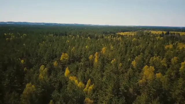 'Video thumbnail for Failed! States that have attempted to split and failed.'