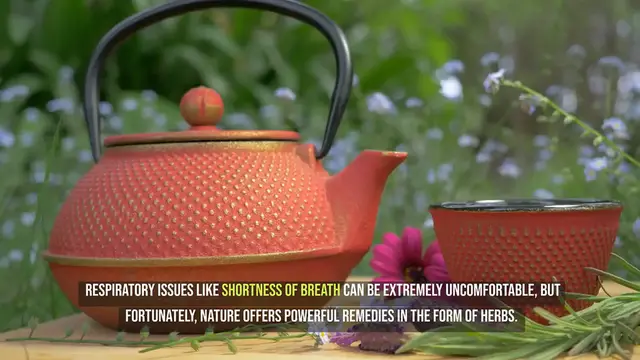 Video thumbnail for Herbs for Stronger Lungs and Immunity
