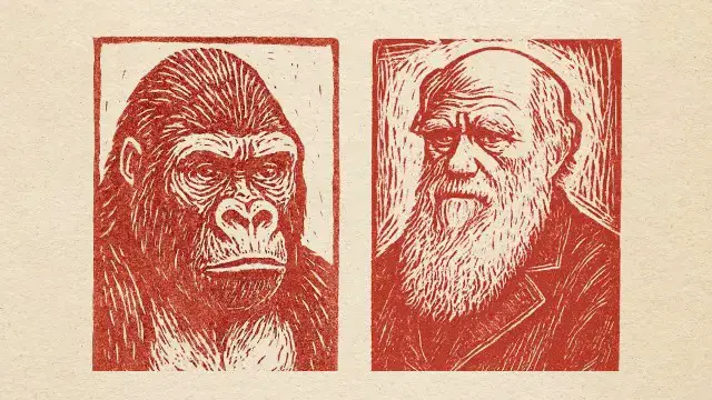 'Video thumbnail for The history of natural selection, in 7 minutes'