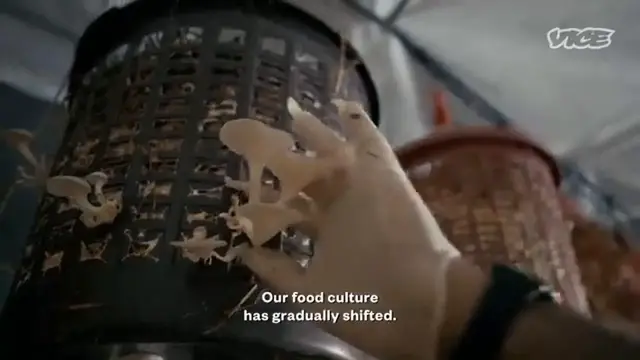 Video thumbnail for Mushroom Harvesting Around The World | Counter Space (Clip)