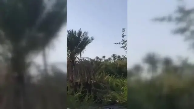 Video thumbnail for Iran: Military Helicopter Activity Over Southeastern Iran.