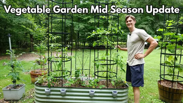 Video thumbnail for Veggie Garden - Mid Season Update