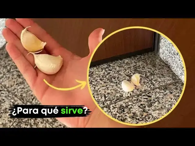 Video thumbnail for ¿Por qué dejar un diente de ajo frente a la casa? El truco que resuelve problemas