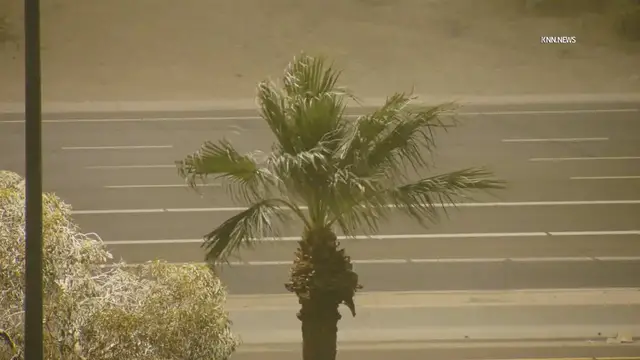 Video thumbnail for US, Phoenix: Phoenix Metropolitan Area Early Morning Dust Storm.