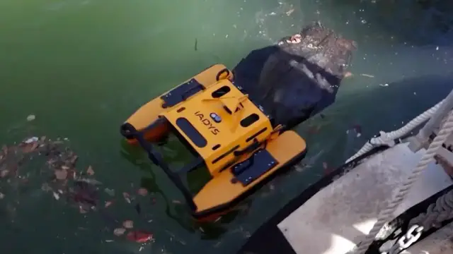 Video thumbnail for Meet Jellyfishbot: A Jellyfish-Inspired Robot to Clean Waterways