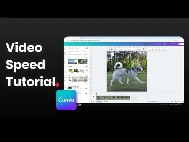 'Video thumbnail for How to Speed Up Video in Canva'