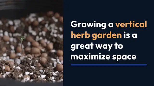 Video thumbnail for How to Grow a Vertical Herb Garden