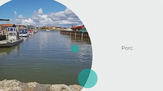 Video thumbnail for Comment cuire des saucisses de Toulouse