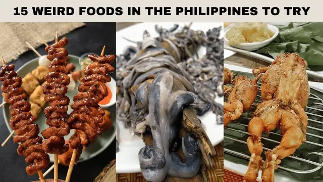 Video thumbnail for 15 Weird Food Items to try out in Philippines