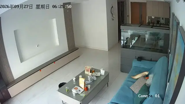 Video thumbnail for Golden Arowana Jumps from Aquarium onto Sofa in Henan, China