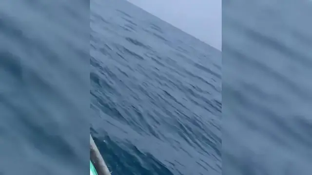 Video thumbnail for Iran: American Apache Flies Over Iranian Boats Off Qeshm Island.