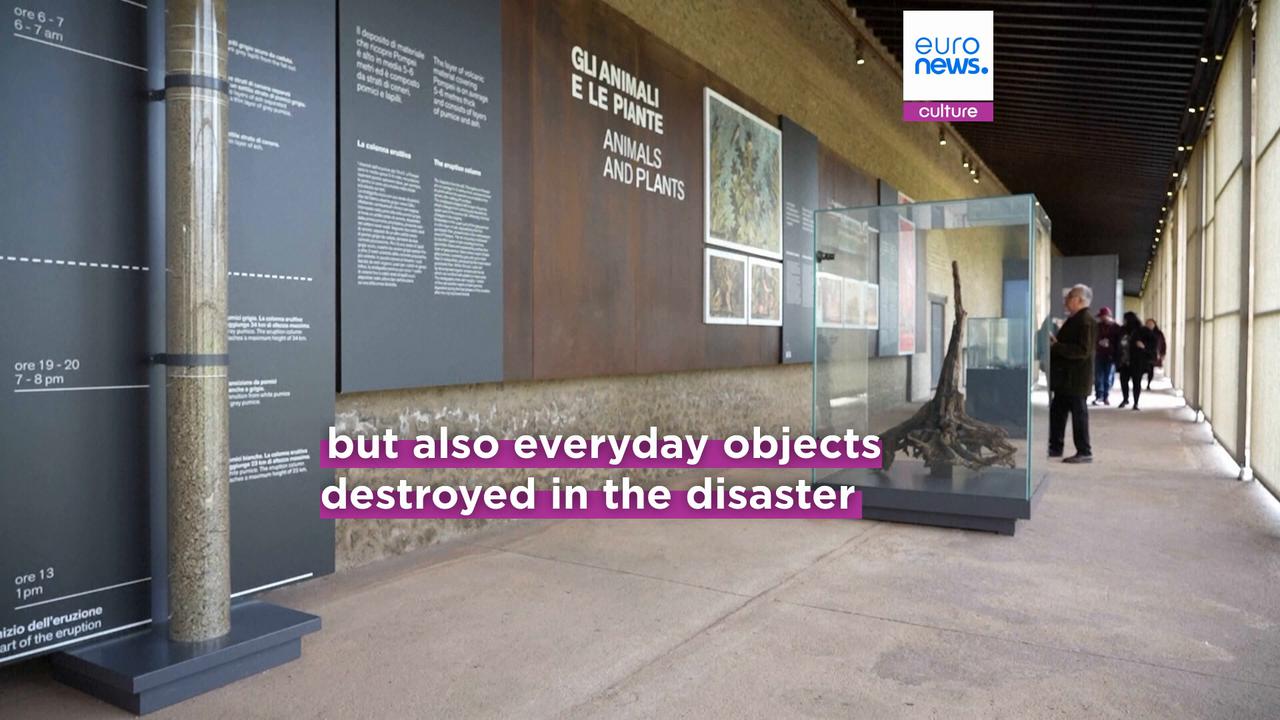 Video thumbnail for Catastrophic casting: Mount Vesuvius eruption victims feature in landmark Pompeii exhibition