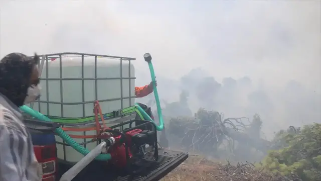 Video thumbnail for Greece: Wildfire response continues in western Greece as more than 70 fires erupt nationwide (2).