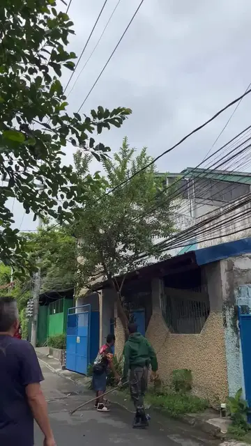 Video thumbnail for Neighborhood Team Rescues Large Snake from Power Lines