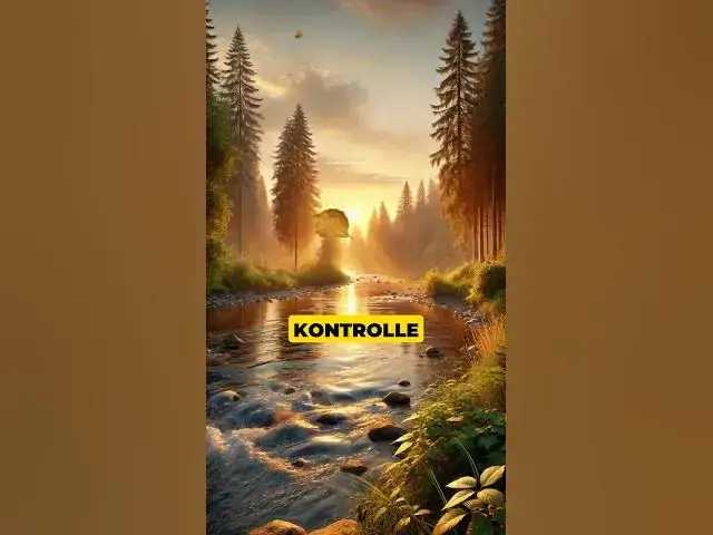 Video thumbnail for Kontrollierst du deine Perspektive – oder kontrolliert sie dich?