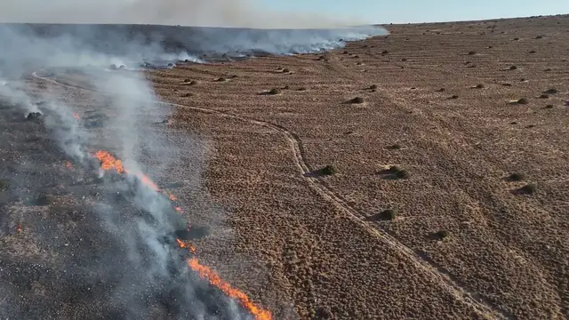Video thumbnail for Türkiye: Wildfires Spread Across Turkey Izmir 10.