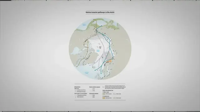 Video thumbnail for Are Manatees Related to Seals? Unveiling the Manatee-Seal Connection