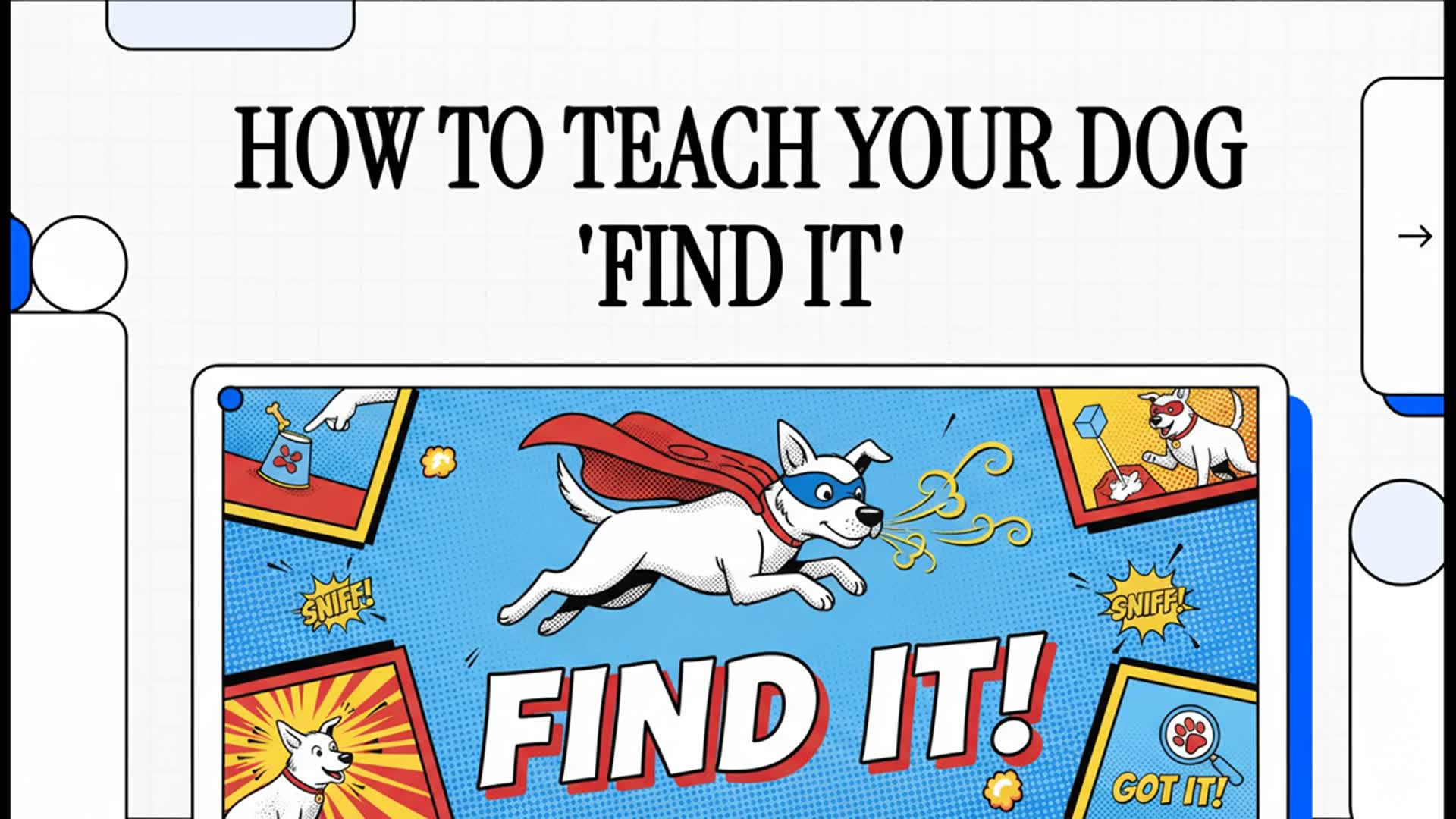 Video thumbnail for How To Teach Your Dog To Search on Cue?