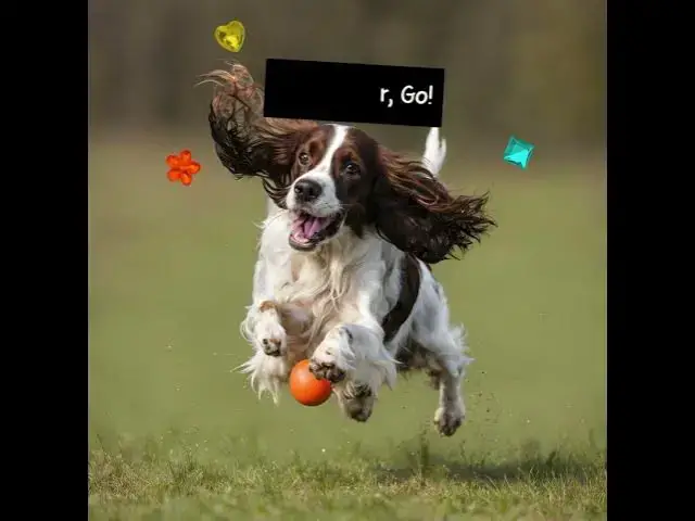 'Video thumbnail for Goygar Fetching Fun!'