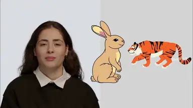 'Video thumbnail for Learn To Question: The Tiger Bear And Rabbit - An Intriguing Short Story'