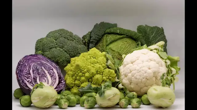 Video thumbnail for 12 Best Low Carb Foods for Weight Loss