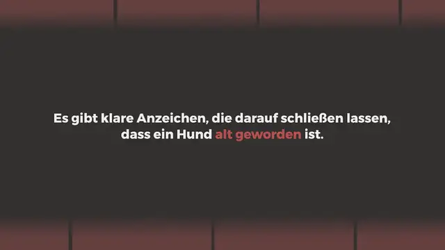 Video thumbnail for Altersschwäche beim Hund: Achte auf diese 8 Symptome