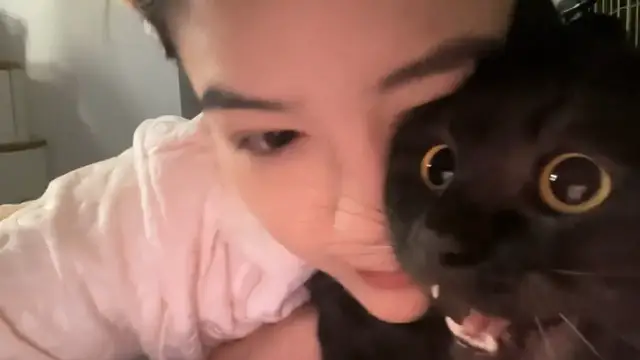 Video thumbnail for Adorable Moment with a Squeaky Black Cat
