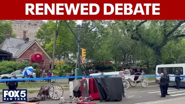Video thumbnail for Push to ban Central Park carriage horse rides intensifies