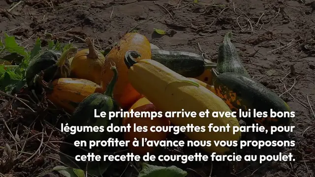 Video thumbnail for Courgette farcie au poulet