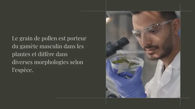 Video thumbnail for BS-95 augmente la viabilité du pollen