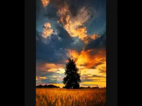 'Video thumbnail for Field of Gold by Sting (live interpretation by Palitha Ariyarathna)'