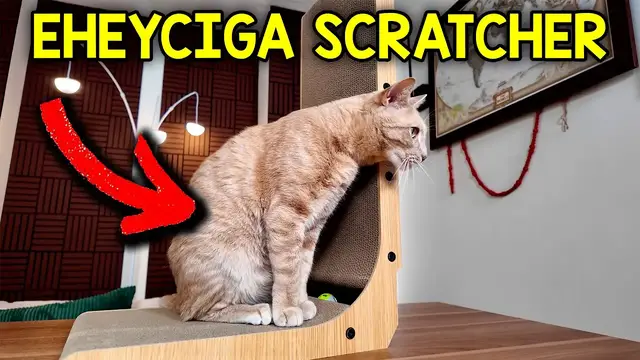 Video thumbnail for Does My Cat Like The EHEYCIGA Cardboard Cat Scratcher?
