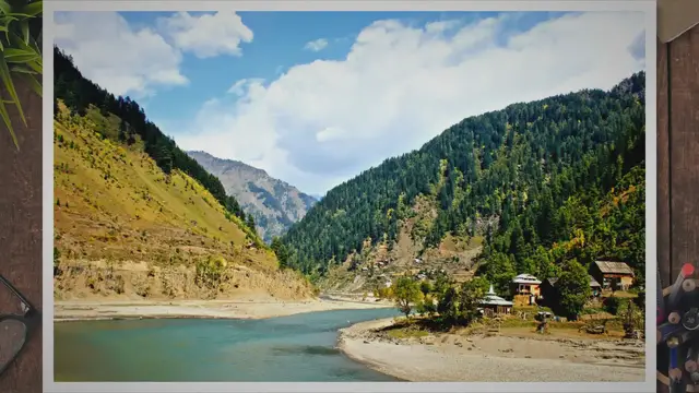 Video thumbnail for What is the Meaning of Forestry? Unlocking the Secrets of Forestry's Impact on Ecosystems and Our Future