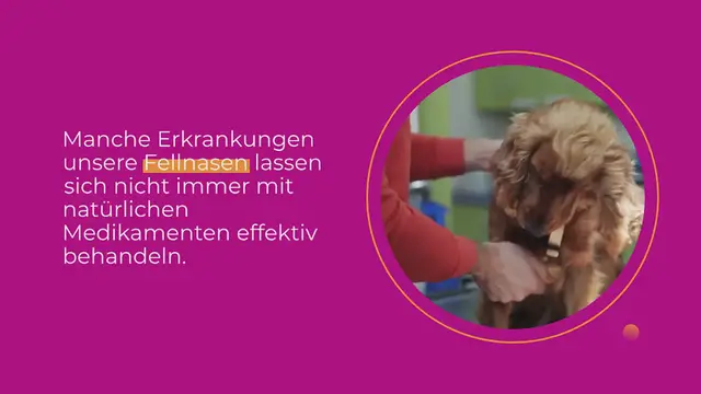 Video thumbnail for Prednisolon Hund: Dosierung, Nebenwirkungen & Erfahrungen