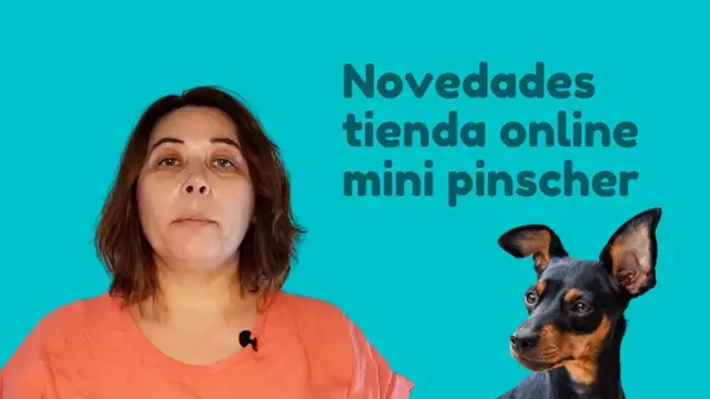 'Video thumbnail for Novedades tienda mini pinscher 🐕'