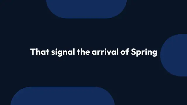 Video thumbnail for Planting Daffodils In Spring