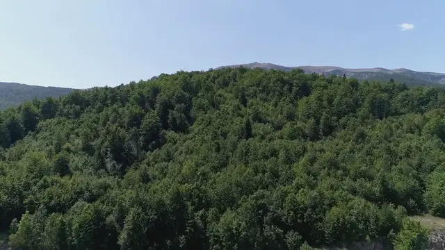 Video thumbnail for Meta Quest 2 Vs Valve Index