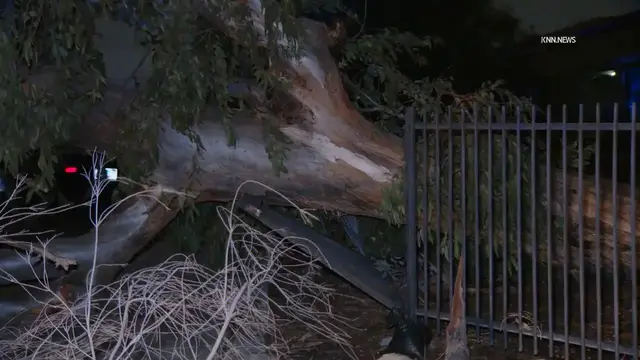 Video thumbnail for US, Phoenix: Phoenix Severe Destructive Monsoon Thunderstorm Damage.