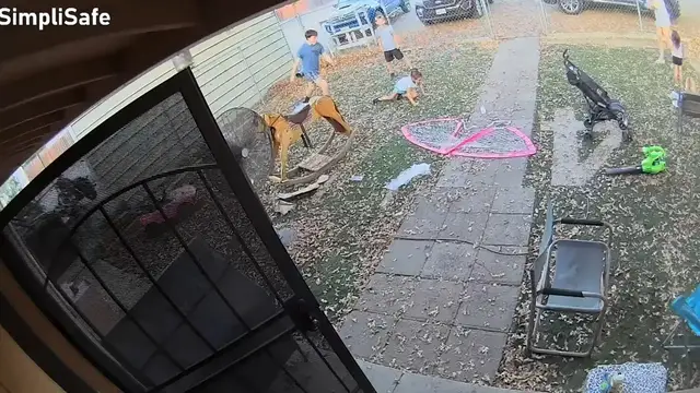 Video thumbnail for Football Accidentally Hits Young Girl During Family Game