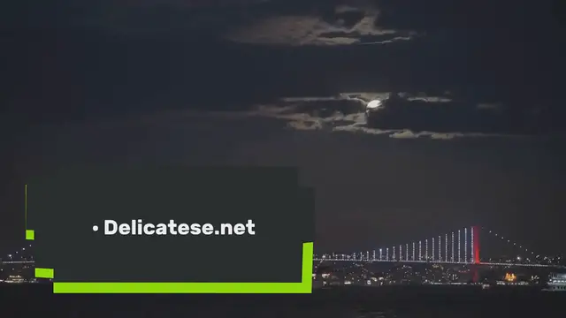 Video thumbnail for Untitled_video_27