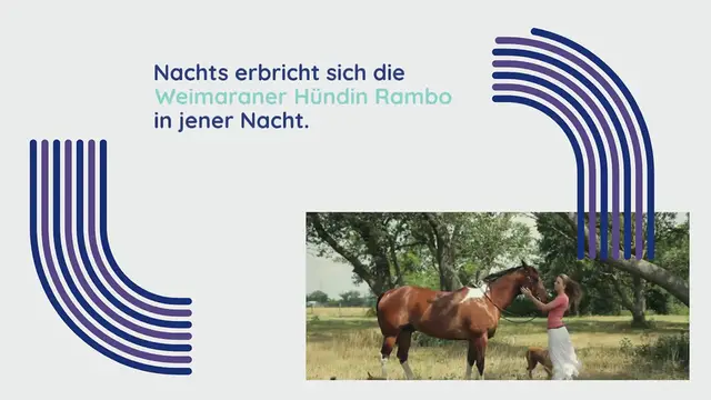 Video thumbnail for Würde mein Haus verkaufen“ – Was dieser Mann alles für seine todkranke Hündin tut, rührt zu Tränen