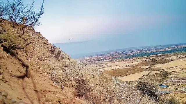 Video thumbnail for Griffon Vultures Resting on Mountain Slope in Huesca