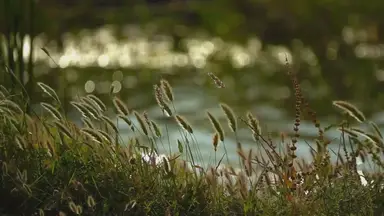 'Video thumbnail for Exploring Beckley, WV: 5 Must-Try Tourist Activities'
