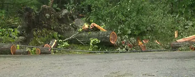 Video thumbnail for Devastating storm damage prompts state leaders to assess destruction in northwest Connecticut